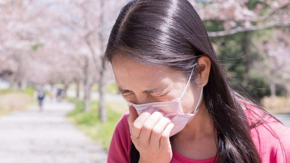 Alergije: Da li je Drugi svetski rat kriv za polensku groznicu u Japanu 1 A young Japanese woman sneezing