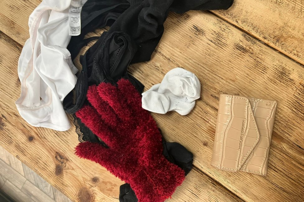 Životinje: Mačor lopov s višegodišnjim iskustvom, dosad ukrao stotine dolara vredne stvari iz komšijskih kuća 3 Stolen items