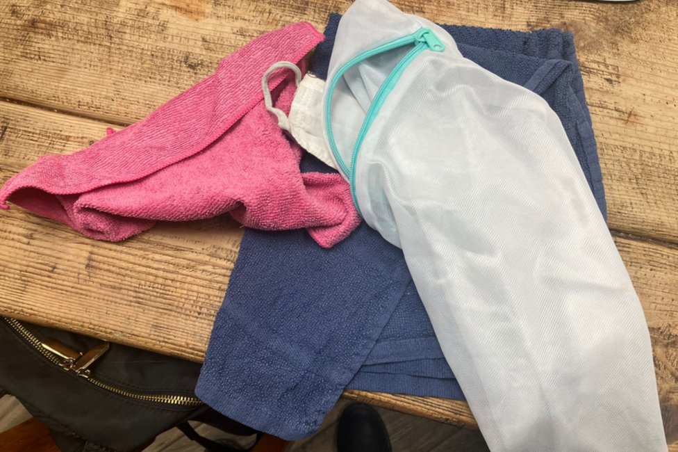 Životinje: Mačor lopov s višegodišnjim iskustvom, dosad ukrao stvari vredne stotine dolara iz komšijskih kuća 4 Stolen towels