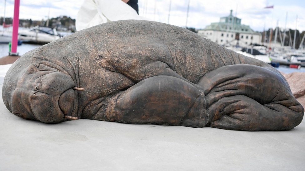 The bronze life-size statue of Walrus Freya in Oslo. Photo: 29 August 2023