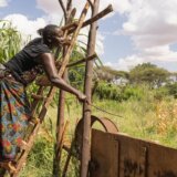Kenijska zemljoradnica: „Plašim se da će me ubiti slonovi“ 5