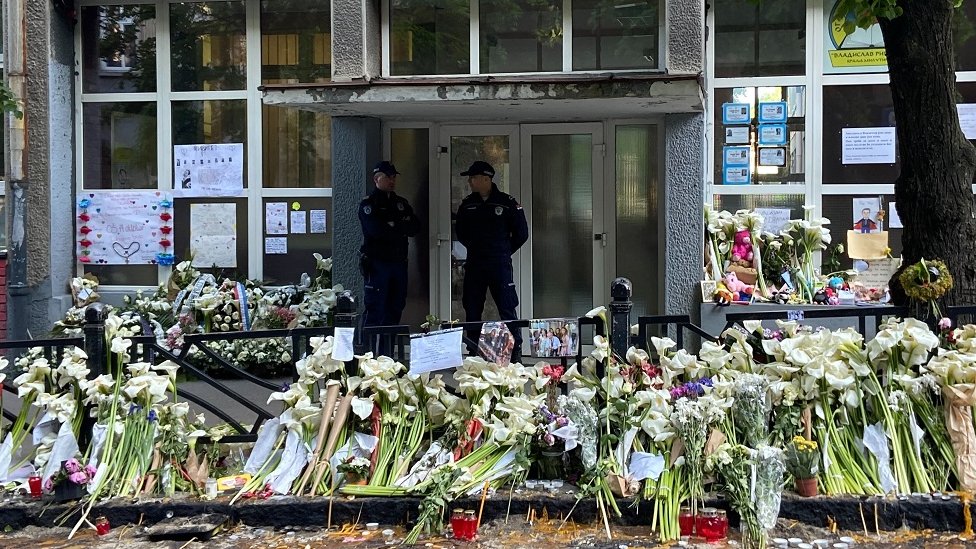 Srbija, bezbednost i obrazovanje: „Zamislite dokle smo došli kada nam škole čuvaju policajci" 2 Jedan od ulaza u školu „Vladislav Ribnikar"