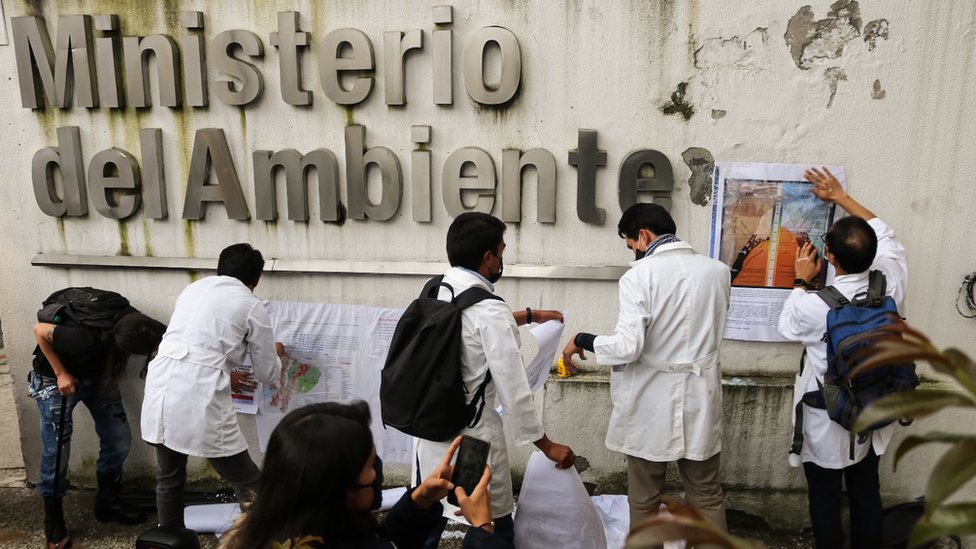 Scientists in Ecuador paste scientific papers on the walls of the country's environment ministry