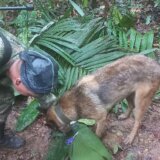 Pad aviona u Kolumbiji: Deca navodno preživela sama u džungli 16 dana 8