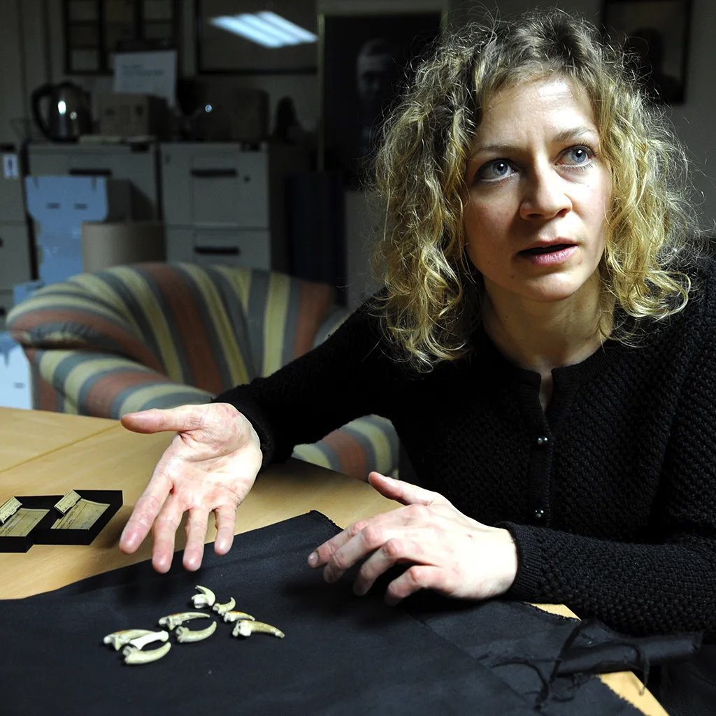 Antropolozi veruju da su orlove kandže pronađene u Krapini, u Hrvatskoj, možda bile nošeni kao ogrlica ili nanizane kao čegrtaljka