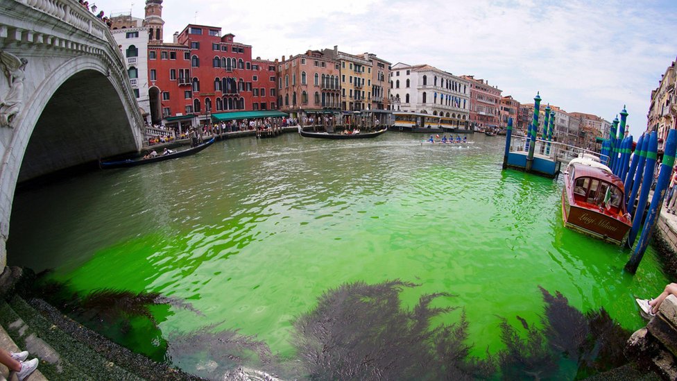 Italija: Misteriozna zelena voda u kanalima Venecije 1 The Rialto Bridge in Venice