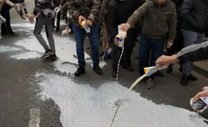 Mlekari iz Udruženja proizvođača mleka Šumadije i Pomoravlja organizovali su protest zbog najavljenog smanjenja otkupnih cena mleka, tokom kojeg su prosuli mleko ispred Gradske uprave u Kraljevu, a ostatak podelili građanima.