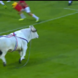 Bik jurio igrače po terenu uoči ragbi utakmice (VIDEO) 2