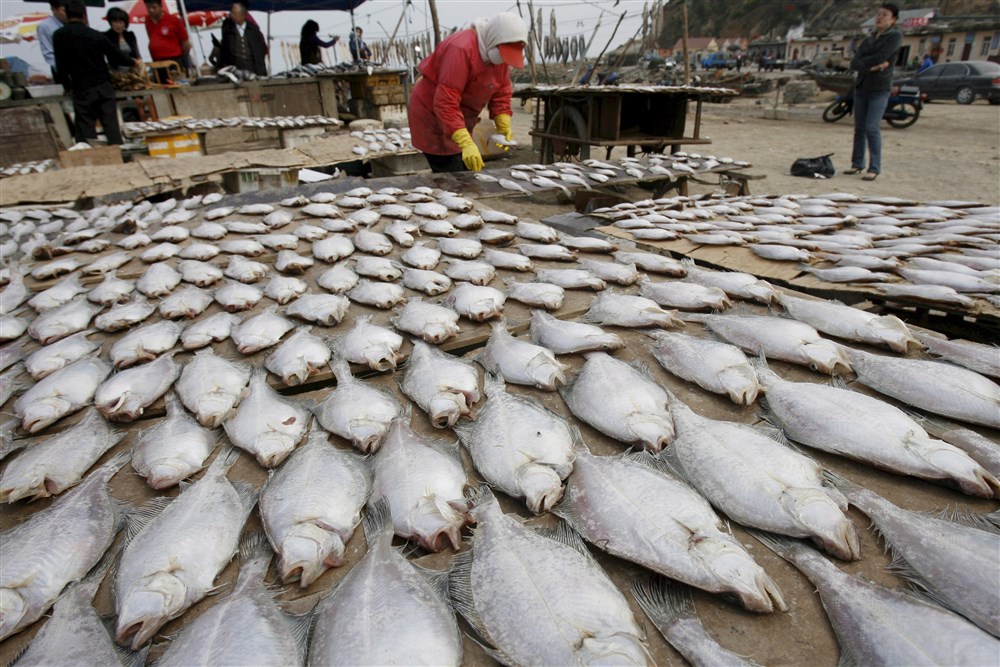 "Nema istinskih niti moralno naprednih nacija": Profesor bioetike na Prinstonu o tome kako tretiramo životinje 2 "Nema istinskih niti moralno naprednih nacija": Profesor bioetike na Prinstonu o tome kako tretiramo životinje 2