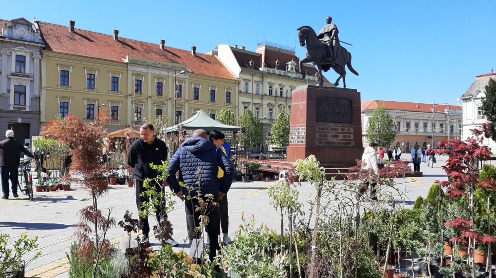 U Zrenjaninu počinje prolećna izložba cveća 1