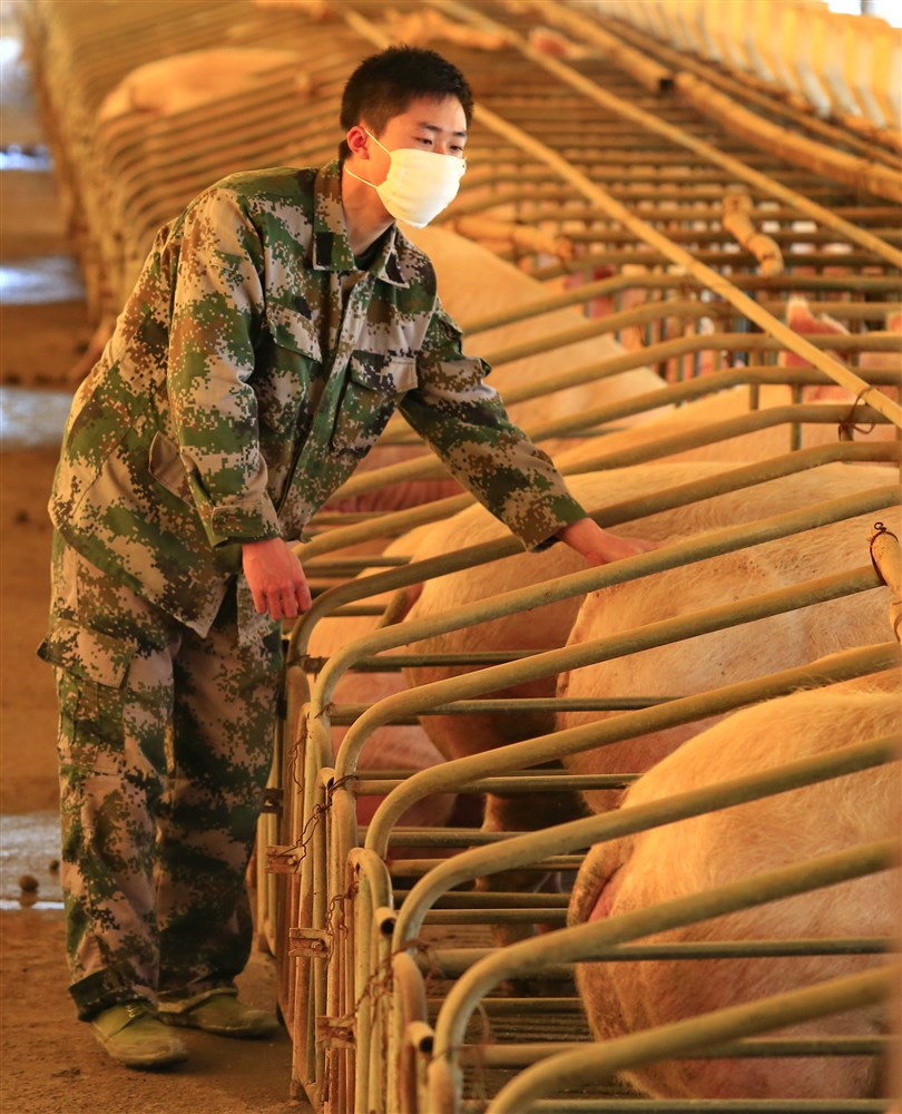 "Nema istinskih niti moralno naprednih nacija": Profesor bioetike na Prinstonu o tome kako tretiramo životinje 4 "Nema istinskih niti moralno naprednih nacija": Profesor bioetike na Prinstonu o tome kako tretiramo životinje 4