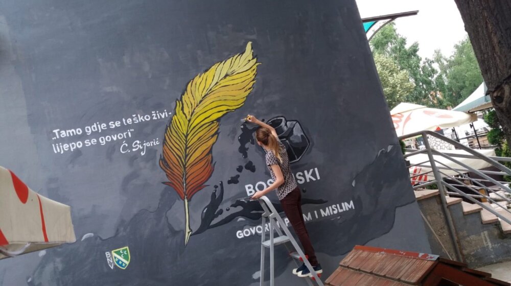 Pojave u Novom Pazaru: Premalterisavanje murala 1