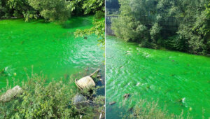 U užičku reku ispuštena veća količina šampona za pranje vozila, protiv firme koje je to uradila najavljene sankcije 2