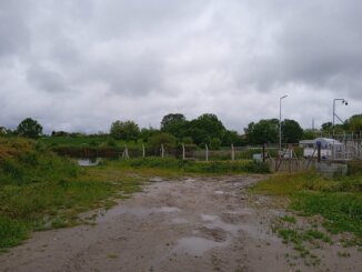 Divlja deponija našla dom na obali Palićkog jezera: Članovi Udruženja građana “Solidarnost” traže hitno uklanjanje 5