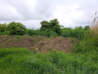 Divlja deponija našla dom na obali Palićkog jezera: Članovi Udruženja građana “Solidarnost” traže hitno uklanjanje 13