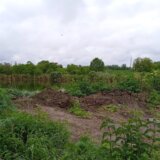 Divlja deponija našla dom na obali Palićkog jezera: Članovi Udruženja građana “Solidarnost” traže hitno uklanjanje 13