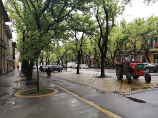 “Gledaćete krave u zoološkim vrtovima uskoro”: Subotički poljoprivrednici ostaju u centru grada do četvrtka 4