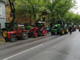 “Gledaćete krave u zoološkim vrtovima uskoro”: Subotički poljoprivrednici ostaju u centru grada do četvrtka 9