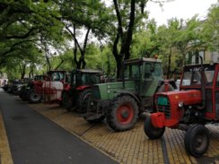 “Gledaćete krave u zoološkim vrtovima uskoro”: Subotički poljoprivrednici ostaju u centru grada do četvrtka 10