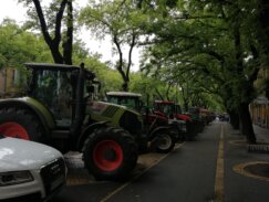 “Gledaćete krave u zoološkim vrtovima uskoro”: Subotički poljoprivrednici ostaju u centru grada do četvrtka 11