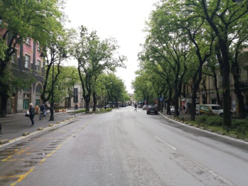 Subotički poljoprivrednici blokirali Štrosmajerovu ulicu Subotički poljoprivrednici radikalizovali protest: U centru grada 45 traktora, tokom dana još dve blokade Štrosmajerove ulice 13