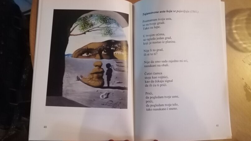 Pesnikinja Biljana Grbin: Popila bih kafu sa Dalijem 3