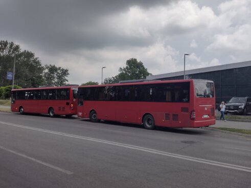 Kragujevčani otputovali na SNS miting sa Vučićevom slikom na čelu: Gradonačelnik demantuje da je bilo prisiljavanja 7