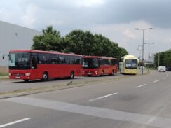 Kragujevčani otputovali na SNS miting sa Vučićevom slikom na čelu: Gradonačelnik demantuje da je bilo prisiljavanja 11