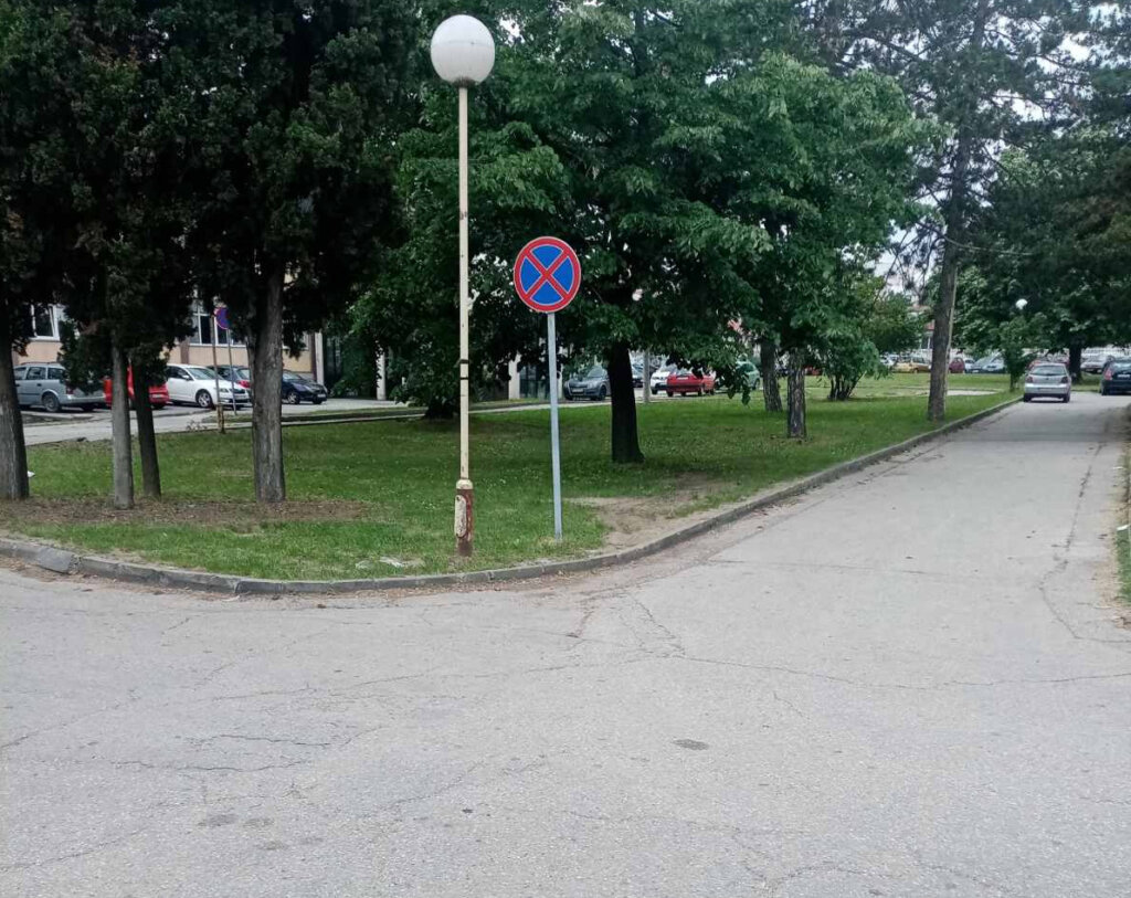 Kragujevčani otputovali na SNS miting sa Vučićevom slikom na čelu: Gradonačelnik demantuje da je bilo prisiljavanja 13