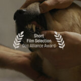 Dva filma iz Srbije nominovana u Kanu za prestižnu Doc Alliance nagradu 2