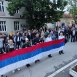 I Topola u šetnji prodisala: Protest „Stop nasilju i strahu” u Karađorđevoj prestonici 9
