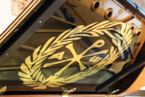 Grad Niš iz budžeta izdvojio 10 miliona dinara za kupovinu luksuznog crkvenog klavira: U SPC odbijaju da saopšte koliko on zaista košta 3