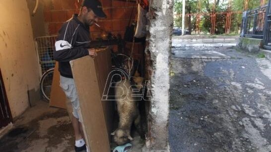 Da li će romska mahala izgrađena na Jevrejskom groblju u Nišu ovoga puta zaista biti raseljena? 1