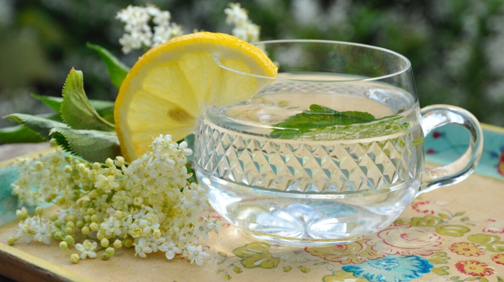 Sok od zove bez grama šećera 1