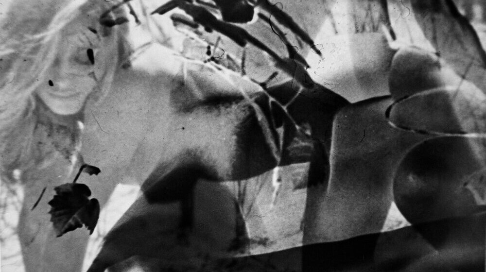 Umetnička knjiga nastala od pronađenih filmskih negativa: Umesto objekata u porno magazinima - žene sa karakterom 1