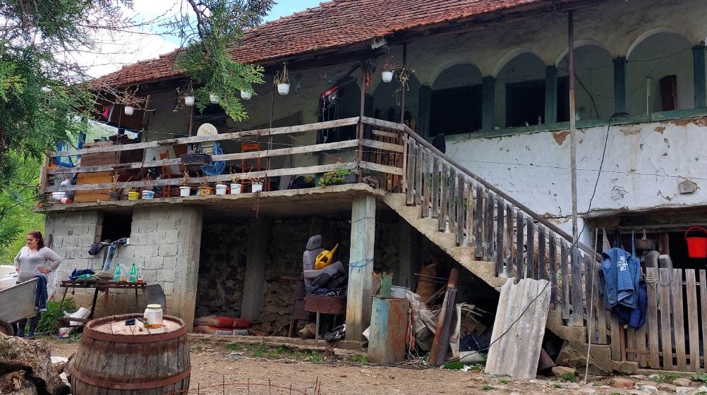 "Znam da svi beže, ali je ovde priroda, ovde je zdrav život": Kako je porodica iz Zaječara grad zamenila selom 8