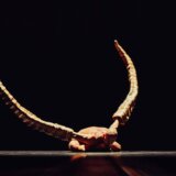 Kristal Pajt dobitnica Nagrade Jovan Ćirilov – za korak dalje 1