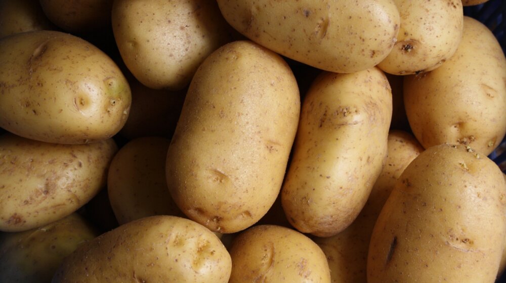 Kako da sprečite klijanje krompira i opasnost po zdravlje? 1