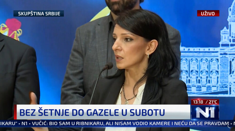 Marinika Tepić pozvala na privođenje Ilije Vuksanovića iz Narodnih patrola 1