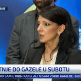 Marinika Tepić pozvala na privođenje Ilije Vuksanovića iz Narodnih patrola 7