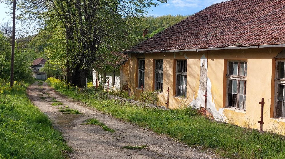 "Znam da svi beže, ali je ovde priroda, ovde je zdrav život": Kako je porodica iz Zaječara grad zamenila selom 5