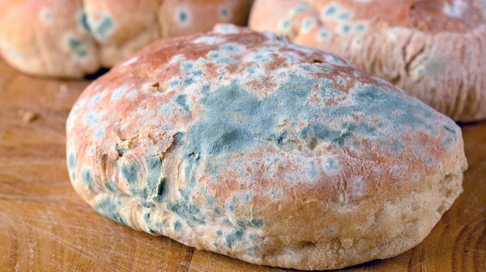 Da li je bezbedno pojesti hranu s koje ste odrezali deo buđi? 1