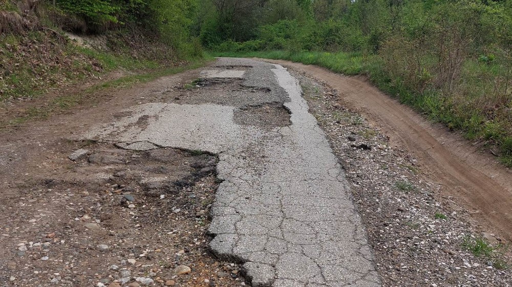 "Znam da svi beže, ali je ovde priroda, ovde je zdrav život": Kako je porodica iz Zaječara grad zamenila selom 4