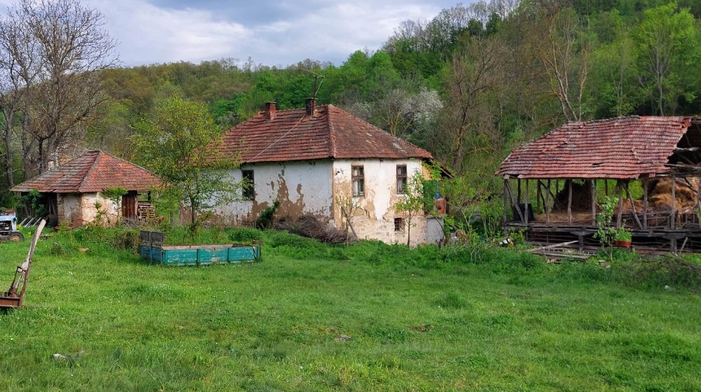 "Znam da svi beže, ali je ovde priroda, ovde je zdrav život": Kako je porodica iz Zaječara grad zamenila selom 6