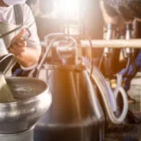 Pregovori, protesti i međusobne optužbe: Koja su to lažna udruženja poljoprivrednika, ko se stvarno bori za bolje uslove, a ko je politički motivisan? 6