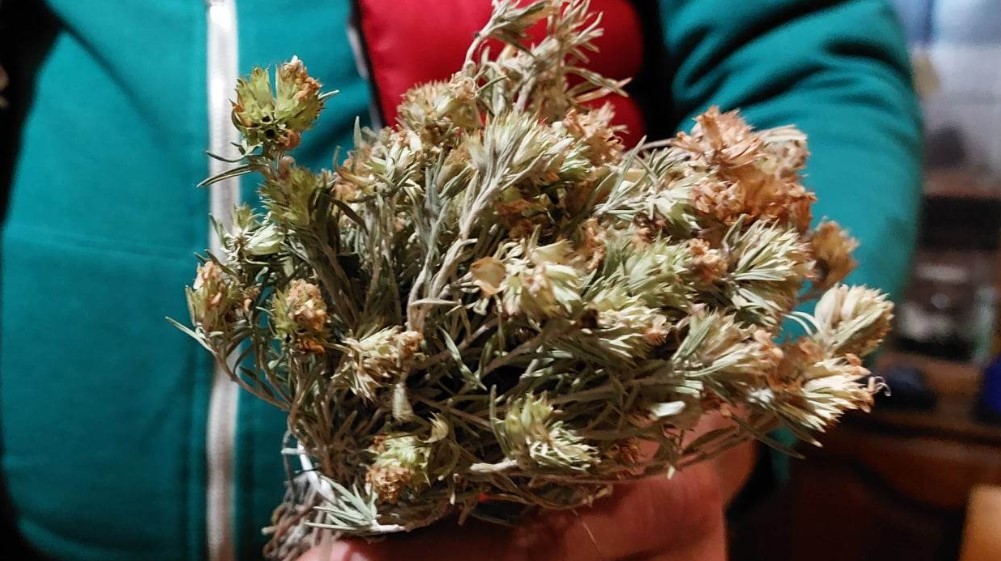 "Moj otac je uvek govorio – ili radi kako treba ili nemoj da radiš”: Travar iz Zaječara nastavio porodičnu tradiciju 5