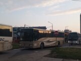 (FOTO) Centar Pančeva blokiran autobusima iz Vojvodine, ali i drugih delova Srbije posle mitinga SNS-a 6