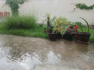 Gromovi i kiša iznad Pančeva: Grmljavinski sistem iz Rumunije stiže i do drugih gradova 2