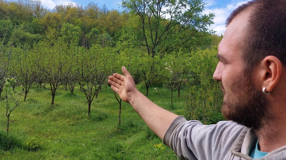 "Znam da svi beže, ali je ovde priroda, ovde je zdrav život": Kako je porodica iz Zaječara grad zamenila selom 7