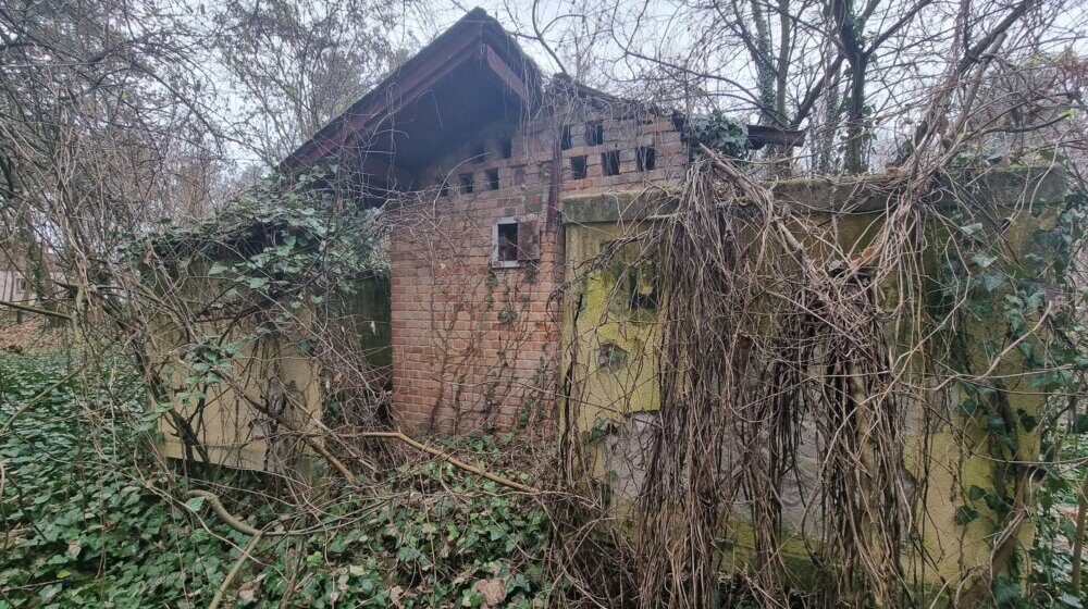 Završena prva faza uređenja Vikend naselja na Paliću: Uklonjeno 13 nelegalnih i devastiranih objekata 1